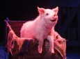 Theatre Betty Blue Eyes Betty. Photo Credit Michael Le Poer Trench 115x85 Theatre